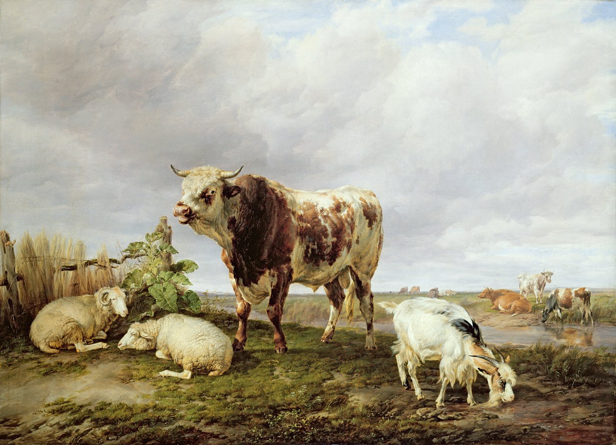 Szarvasmarha a réten alkotó: Thomas Sidney Cooper