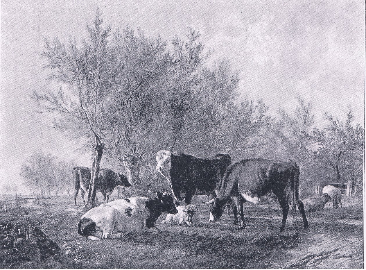 Táj szarvasmarhákkal, The Magazine of Art 1893, Cassell and Company alkotó: Thomas Sidney Cooper