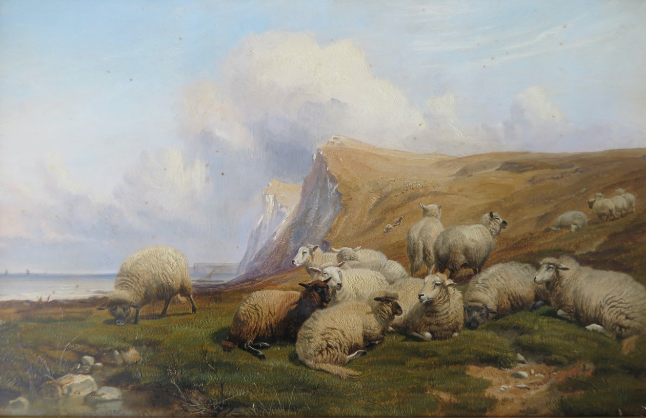 Shakespeare Cliff, Kent: Sheep on Coastal Pasture alkotó: Thomas Sidney Cooper
