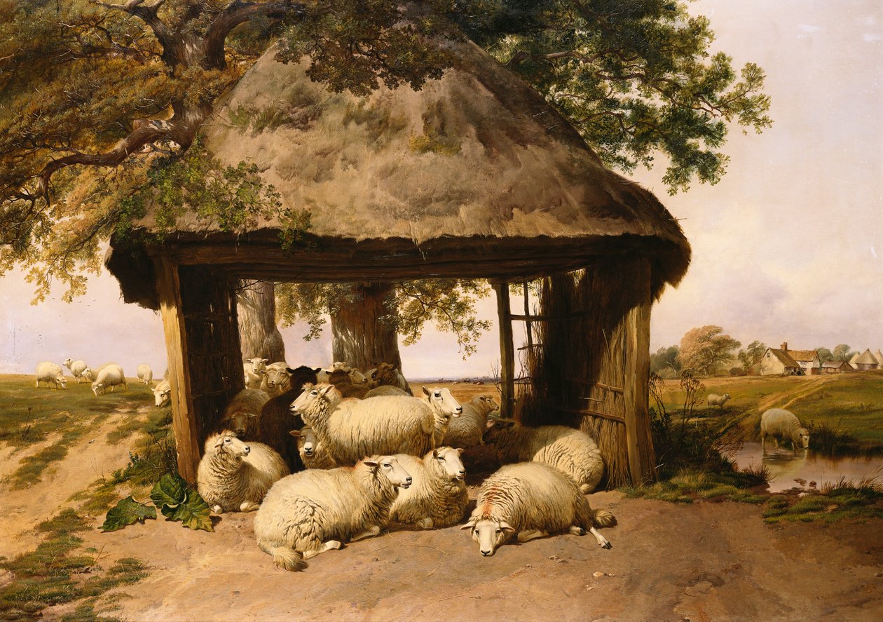 Menedék alatt pihenő juhok alkotó: Thomas Sidney Cooper