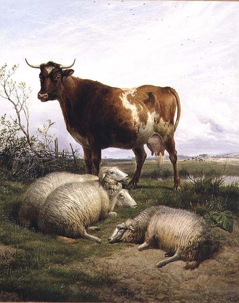 Birkák és tehén legelnek alkotó: Thomas Sidney Cooper