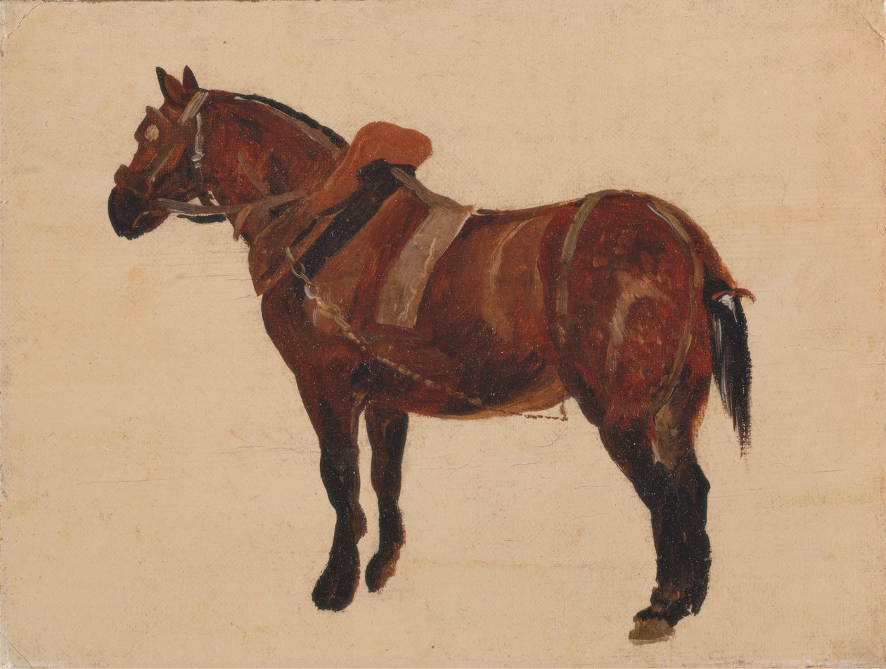 Tanulmány egy munkalóról alkotó: Thomas Sidney Cooper