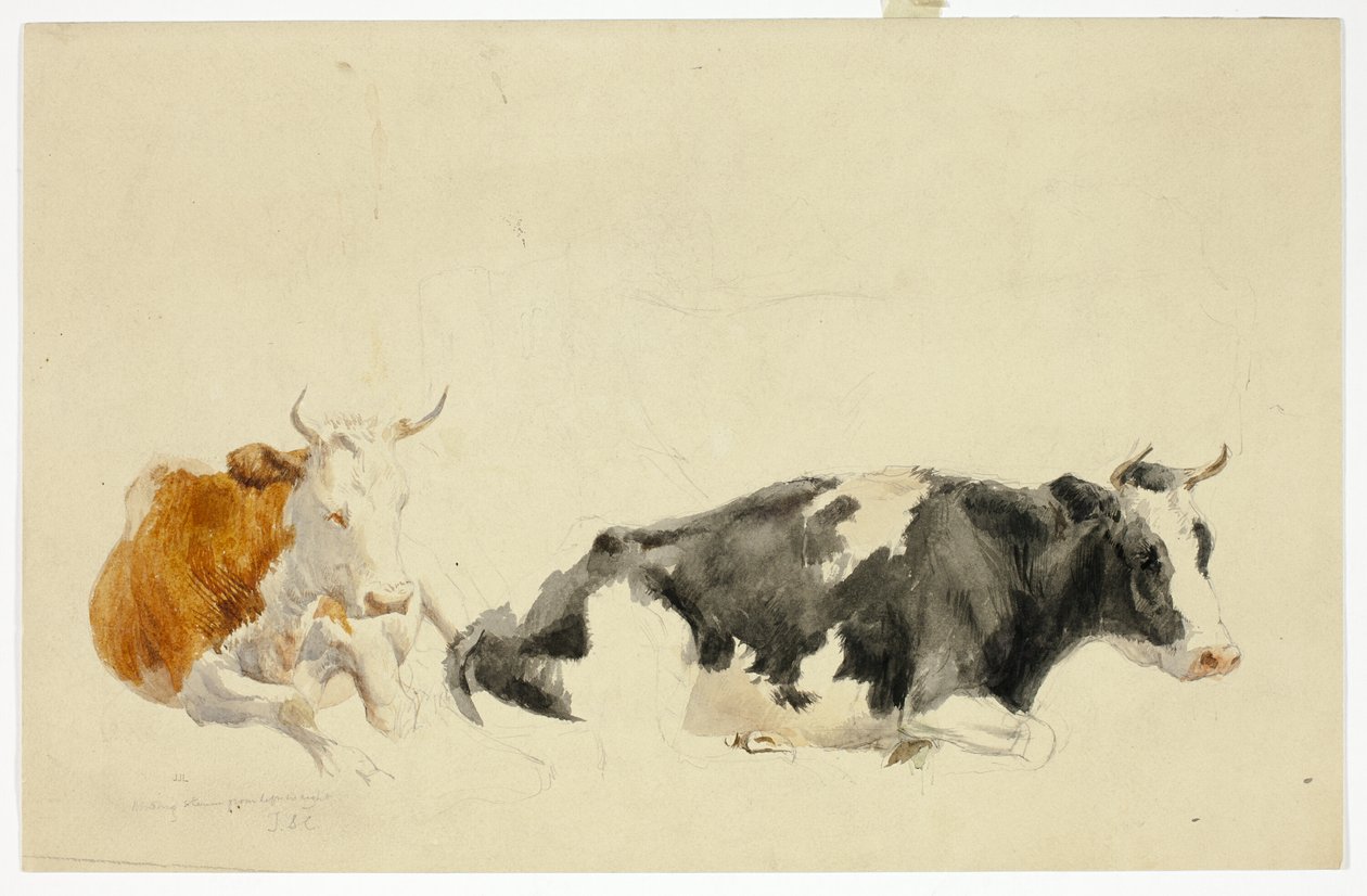 Két fekvő tehén (recto); Vázlat álló tehénről (verso) alkotó: Thomas Sidney Cooper