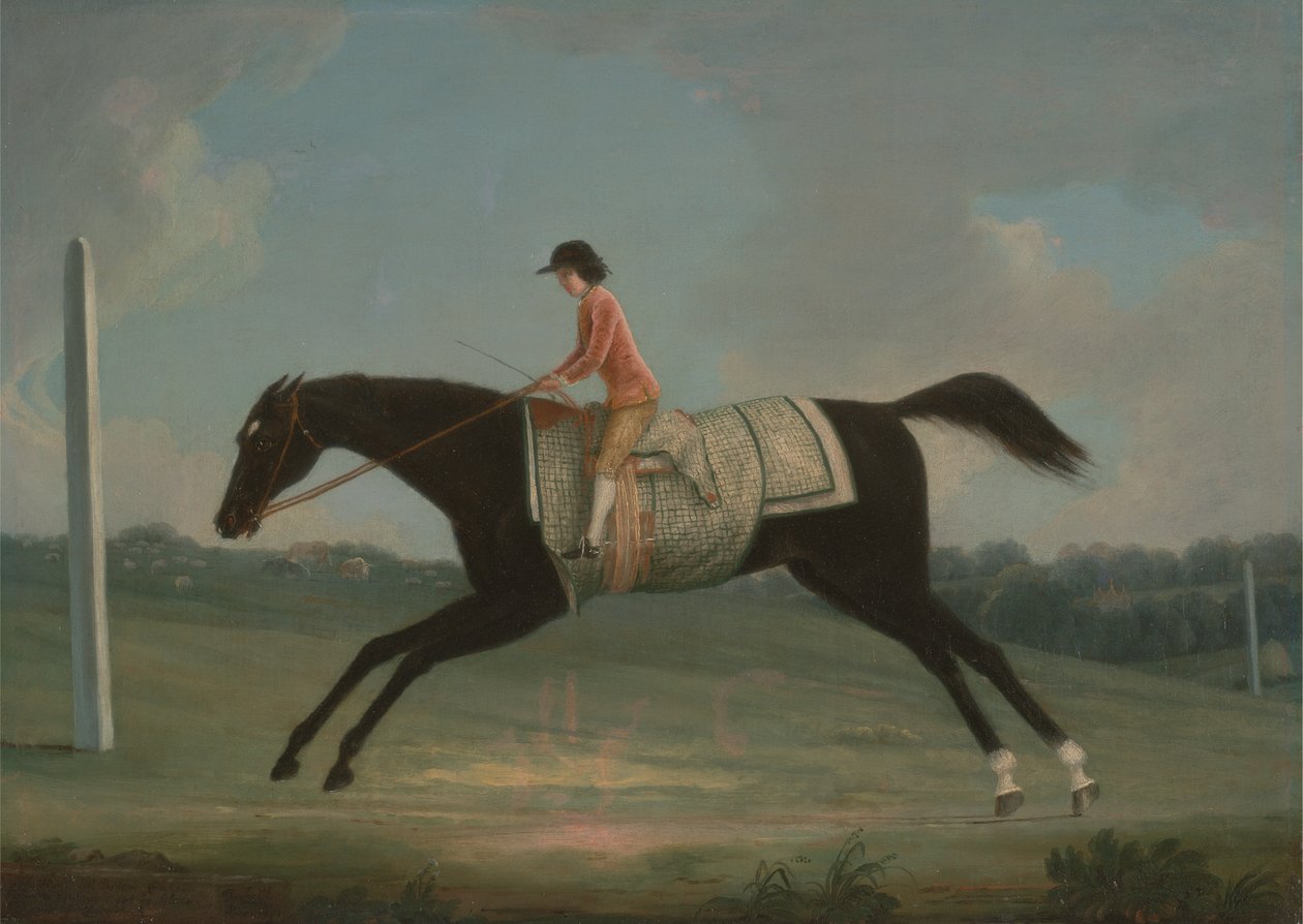 Borlase Cokayne Szultánán lovagló fiúként alkotó: Thomas Smith of Derby