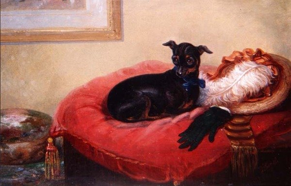 Kedvenc házi kedvence: Manchester Terrier piros párnán alkotó: Thomas Smythe