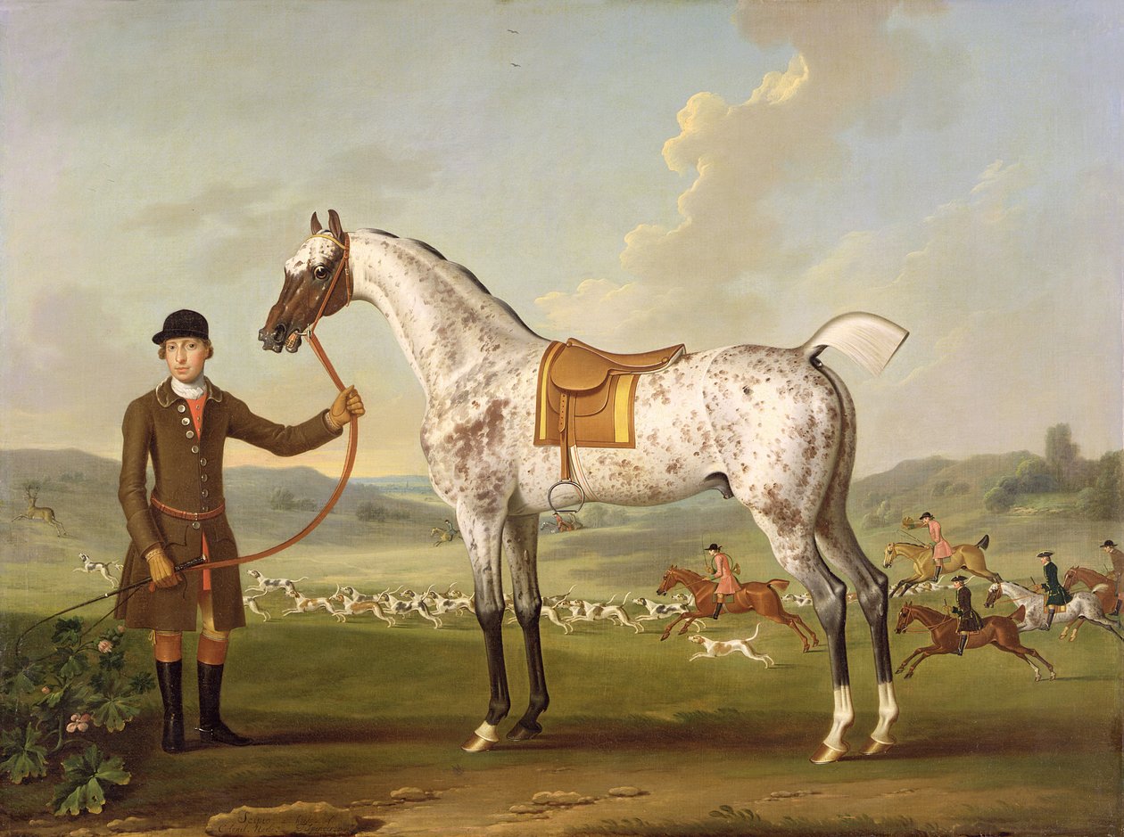 Scipio, Roche ezredes foltos vadásza, 1750 körül alkotó: Thomas Spencer