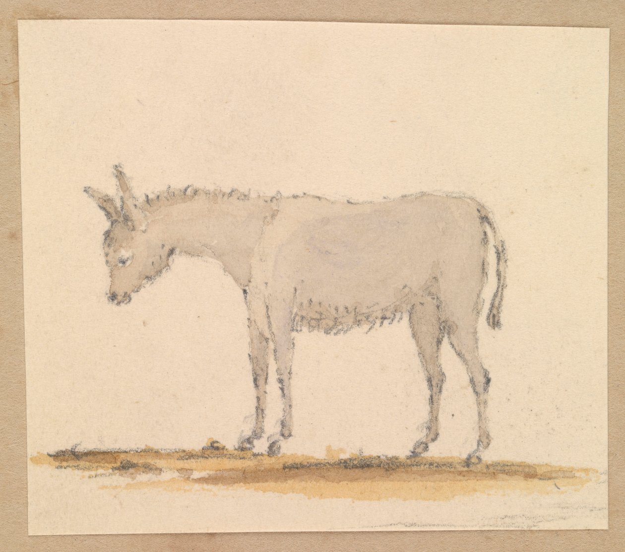 Szamártanulmány, 1820 körül (toll, tus, tus, vízfesték, akvarell) alkotó: Thomas Streatfeild