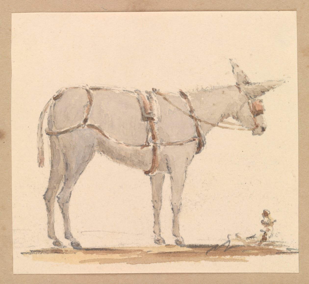Szamár tanulmánya kantárral és hámmal, 1820 körül (ceruza, barna és szürke mosás, papír) alkotó: Thomas Streatfeild