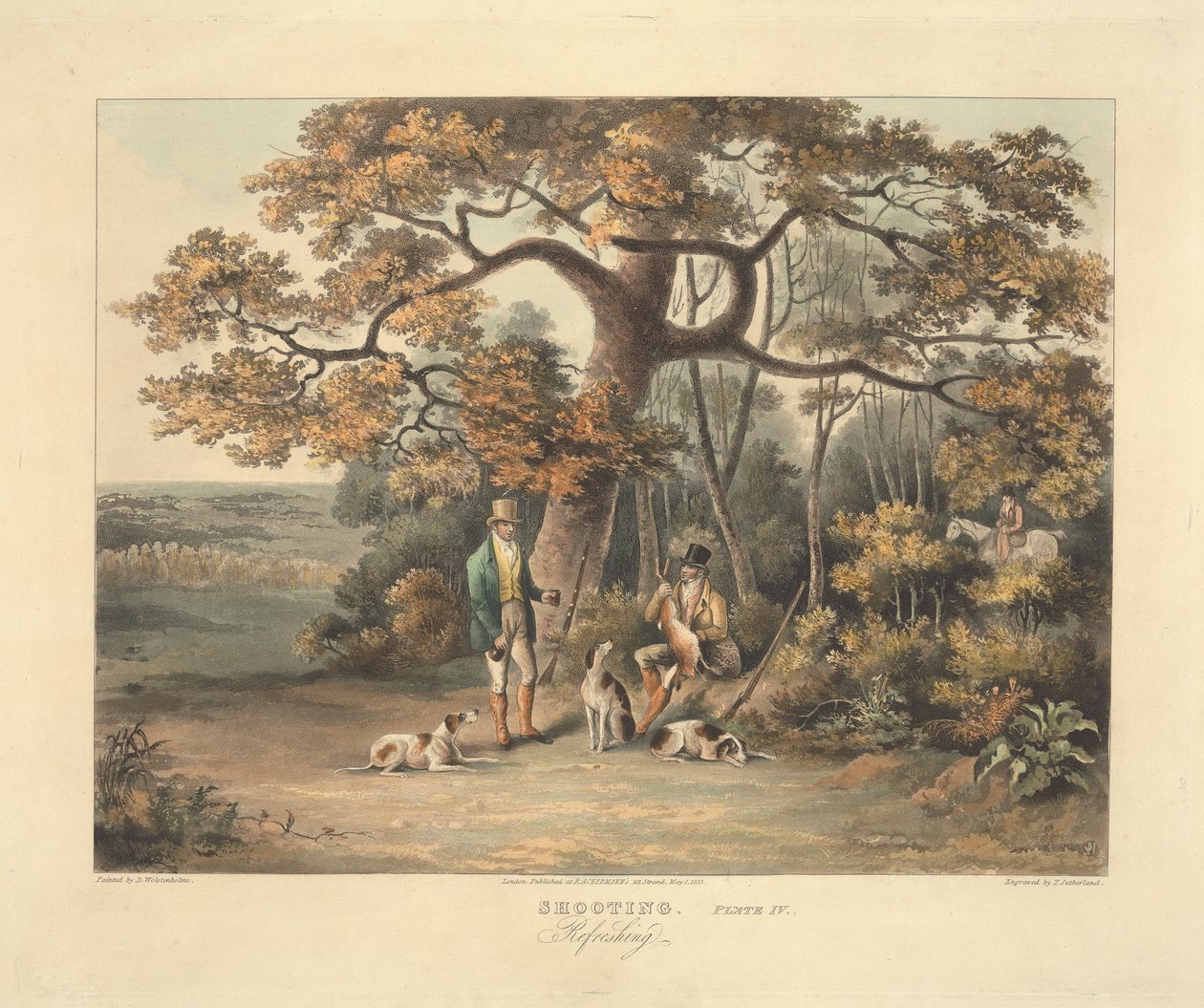 Egy négyes készlet - Lövés: IV. tányér. Üdítő alkotó: Thomas Sutherland