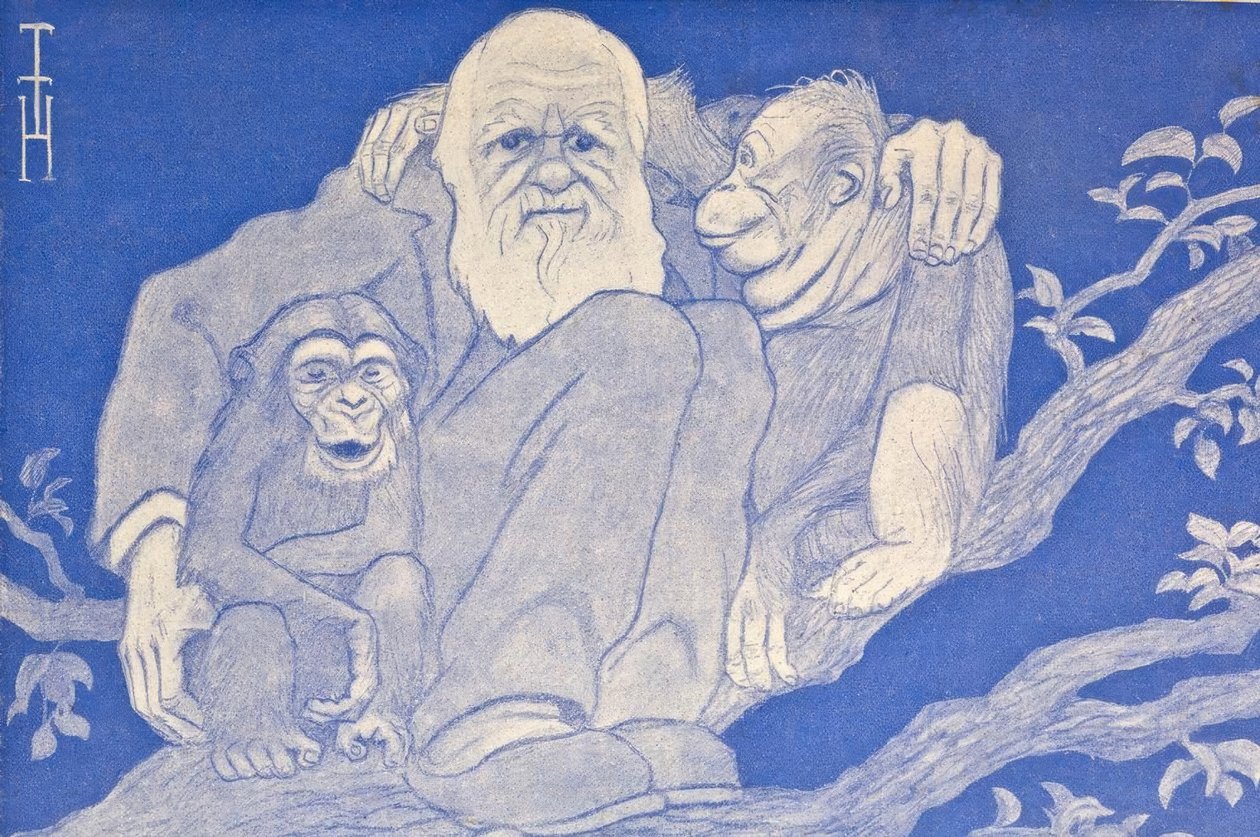 1909-es Darwin rajzfilm majomrészlettel alkotó: Thomas Theodor Heine