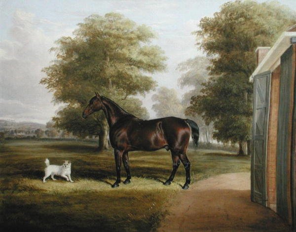 Bay Horse terrierrel alkotó: Thomas W. Bretland