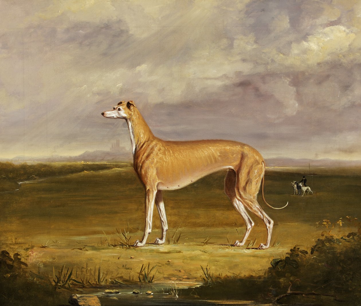 The Greyhound, 1830 körül (olaj, vászon) alkotó: Thomas W. Bretland