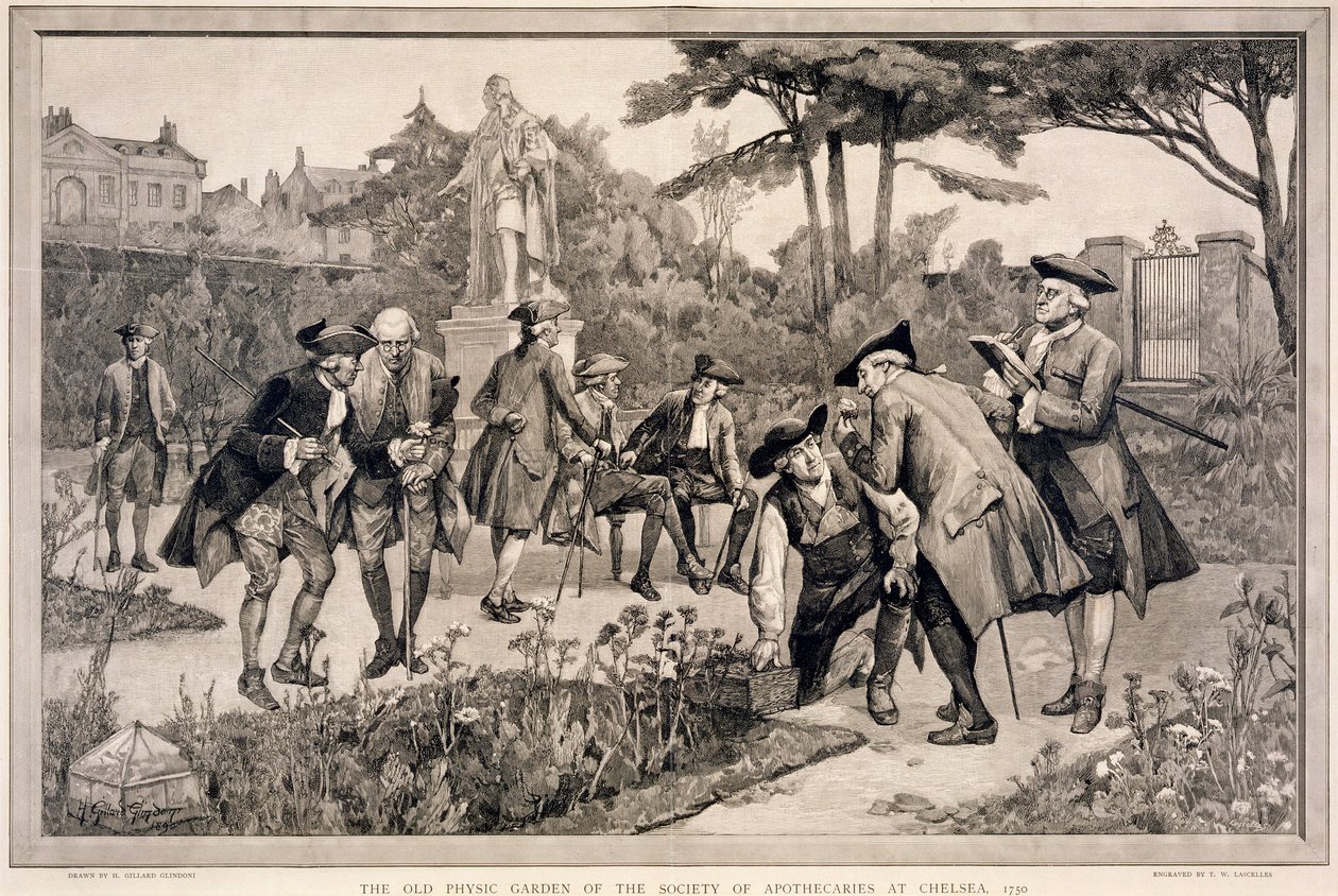 "The Old Physic Garden of the Society of Apothecaries at Chelsea, 1750", 1890 alkotó: Thomas W Lascelles