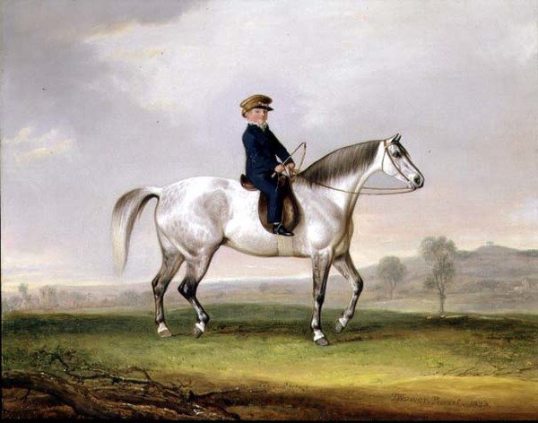 Edward Humphries mester a szürke póniján alkotó: Thomas Weaver