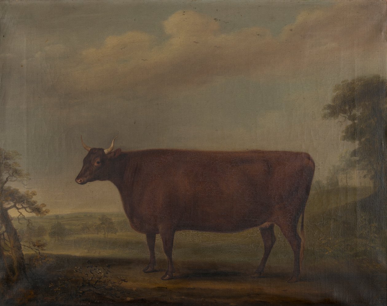 Vörös devoni üszők tájban, 1812 körül (olaj, vászon) alkotó: Thomas Weaver
