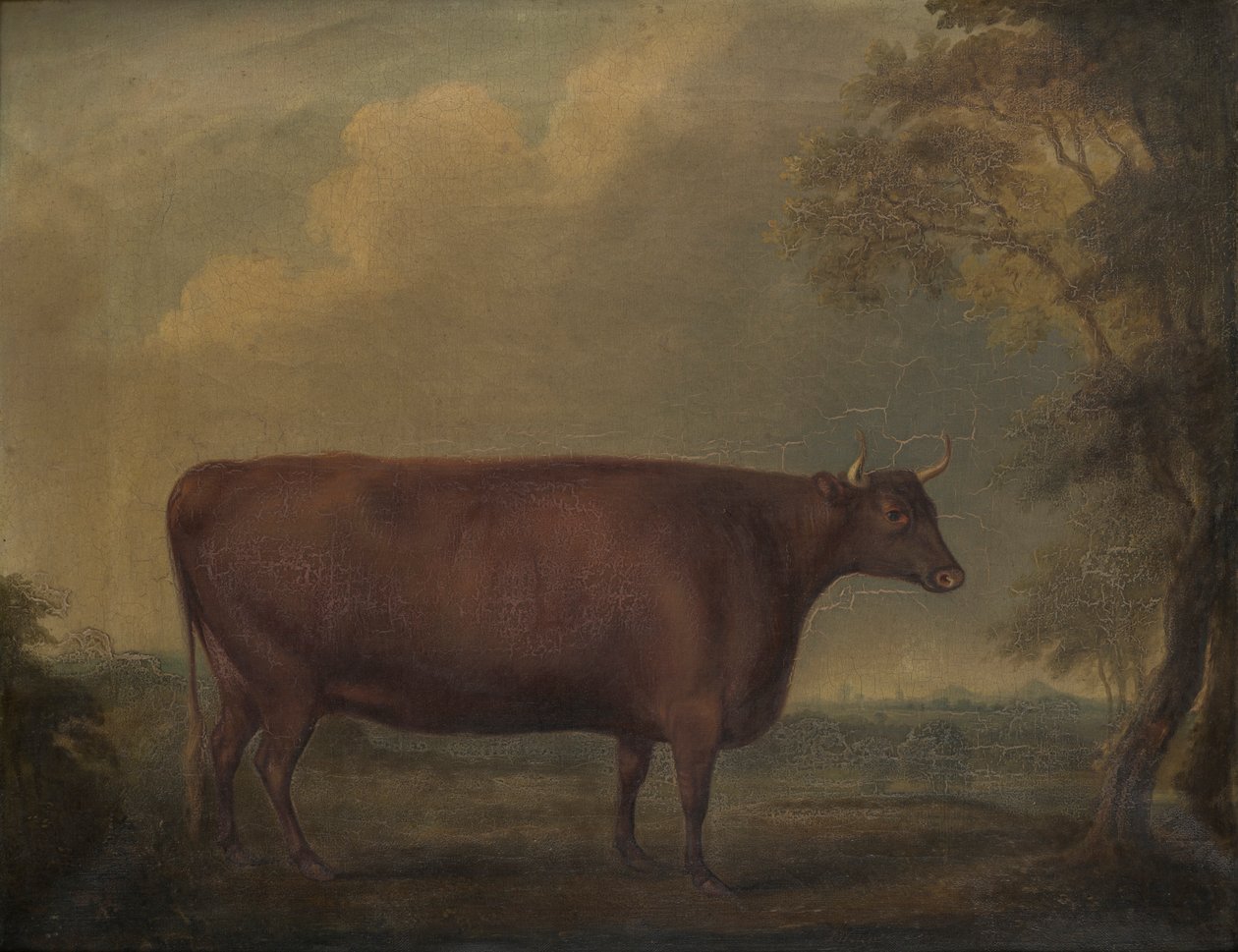Vörös devoni üszők tájban, 1812 körül (olaj, vászon) alkotó: Thomas Weaver