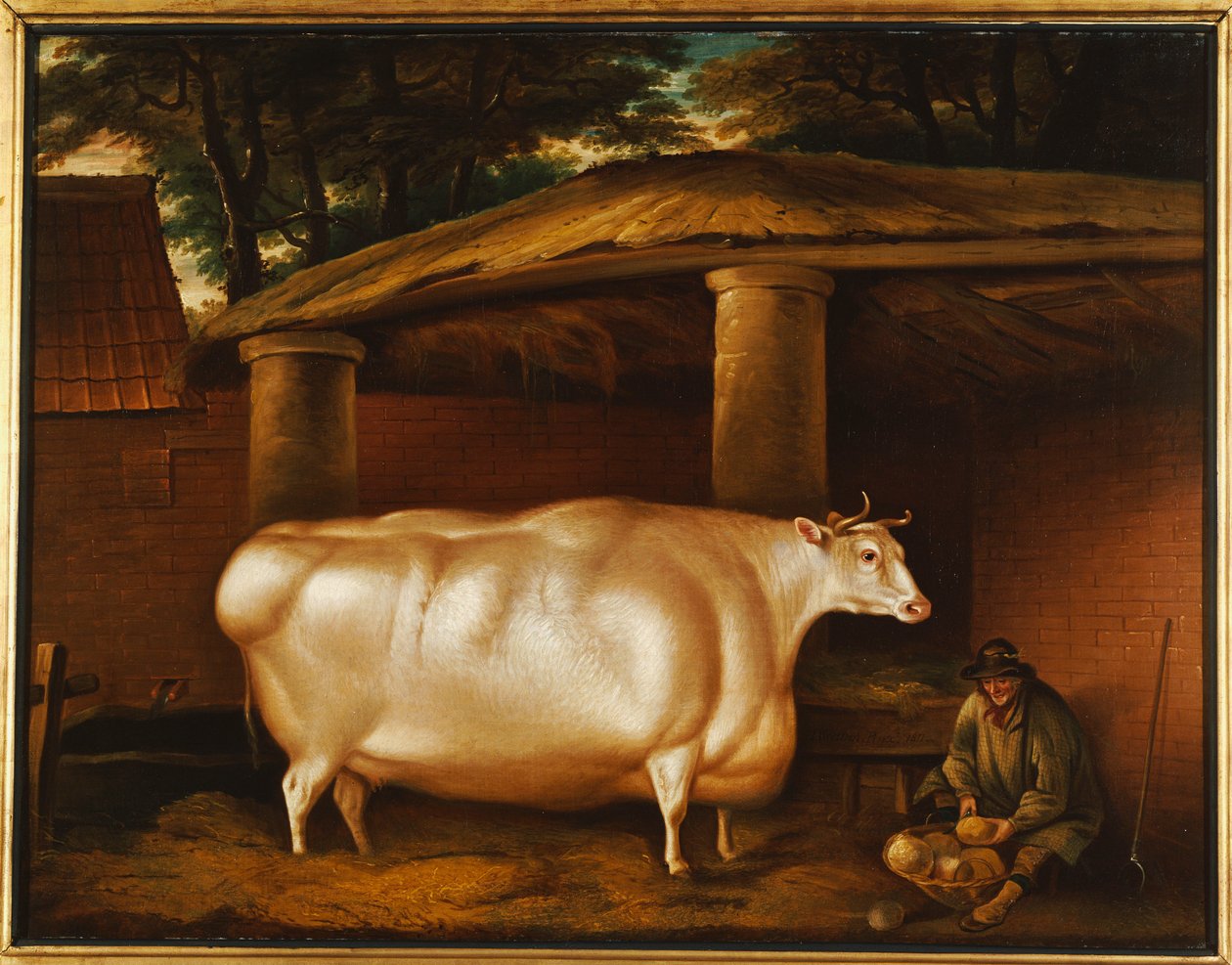 A fehér üsző, aki utazott, egy emberrel, aki fehérrépát szeletel egy istálló udvarán, 1811 alkotó: Thomas Weaver