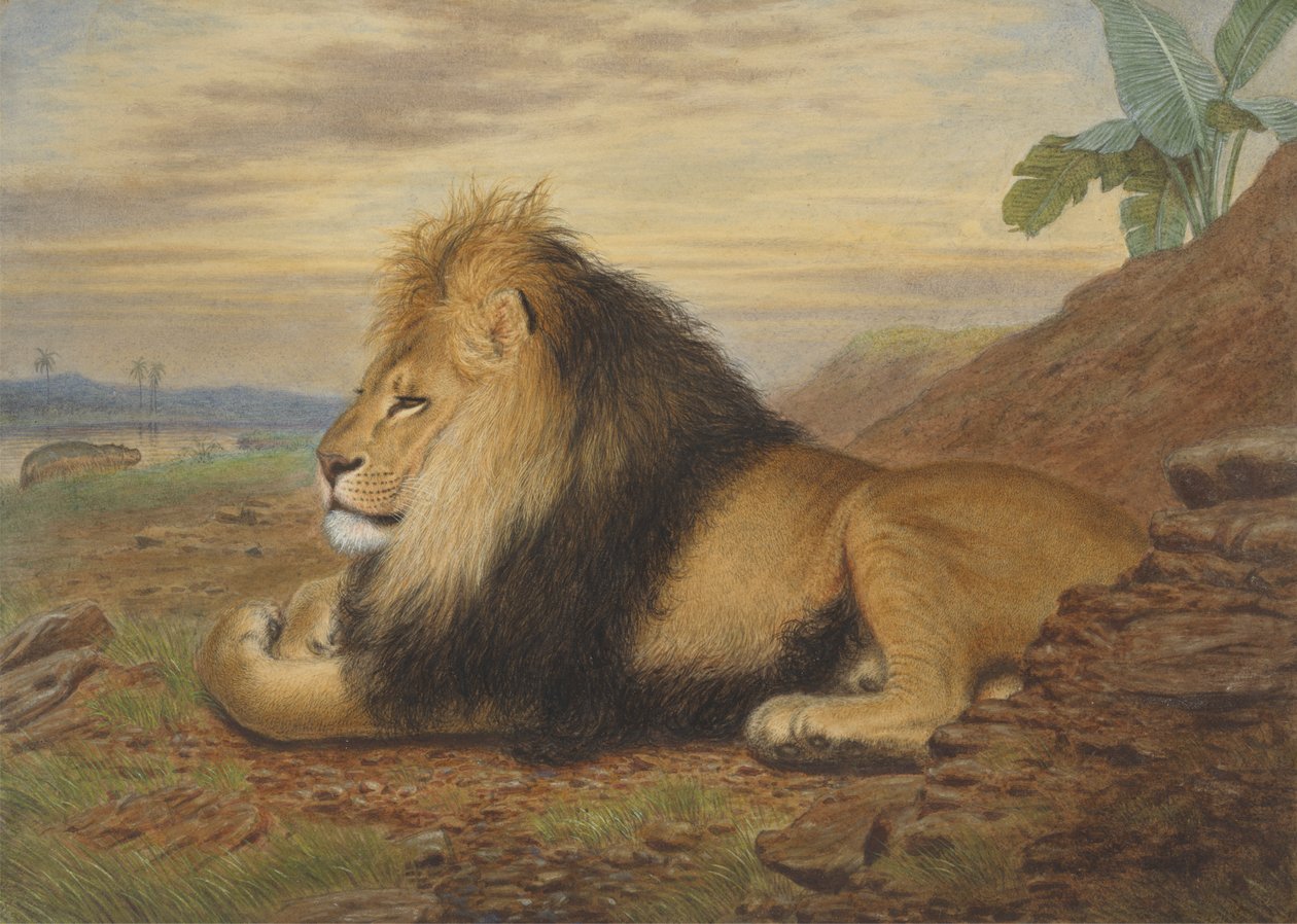 Egy oroszlán alkotó: Thomas William Wood