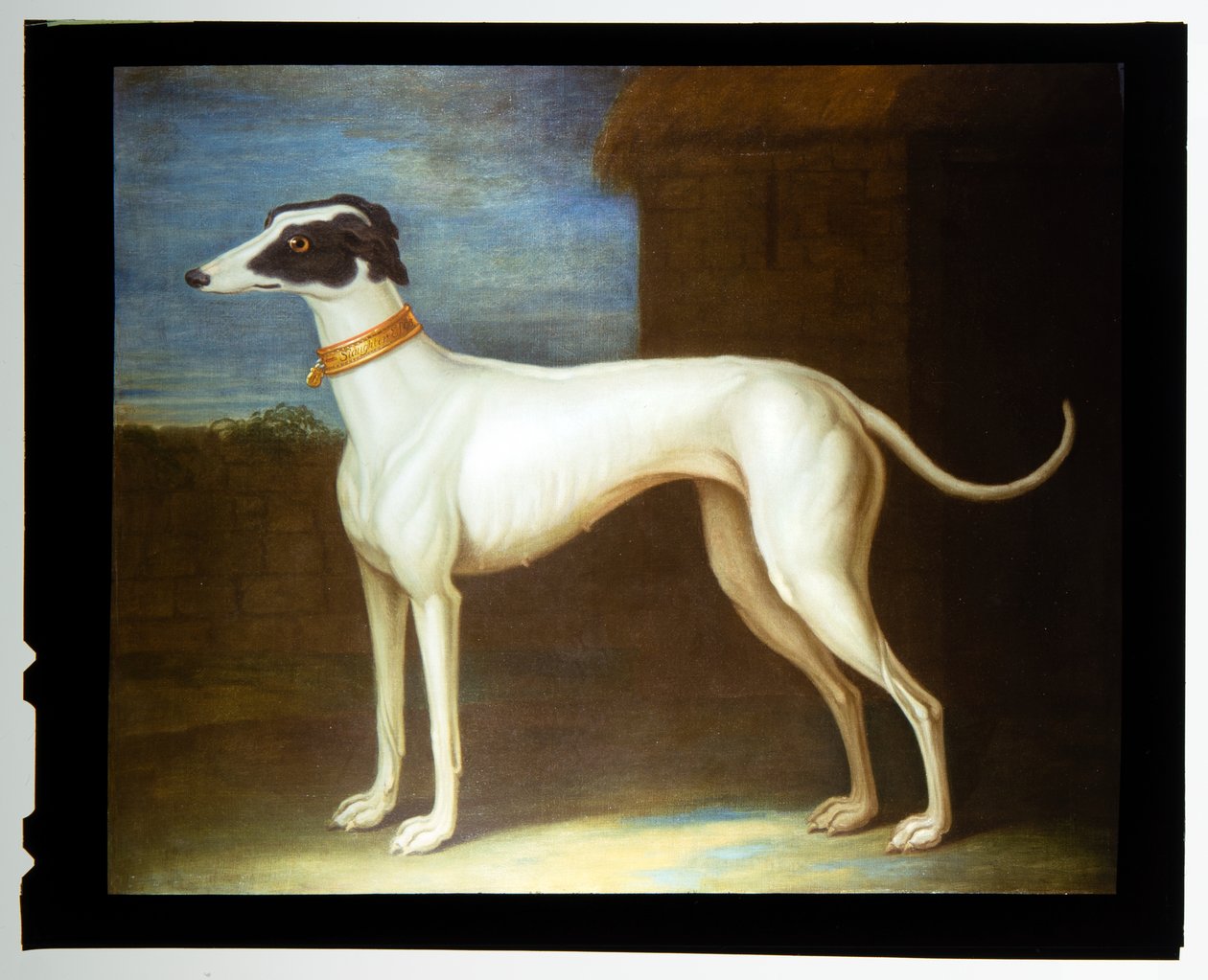 Egy kedvenc agár alkotó: Thomas of Pall Mall Butler