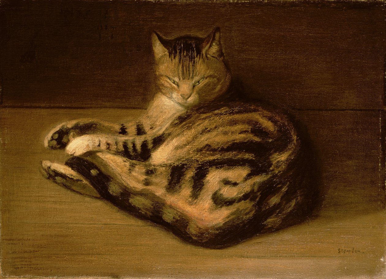 Fekvő macska, 1898 alkotó: Théophile Alexandre Steinlen