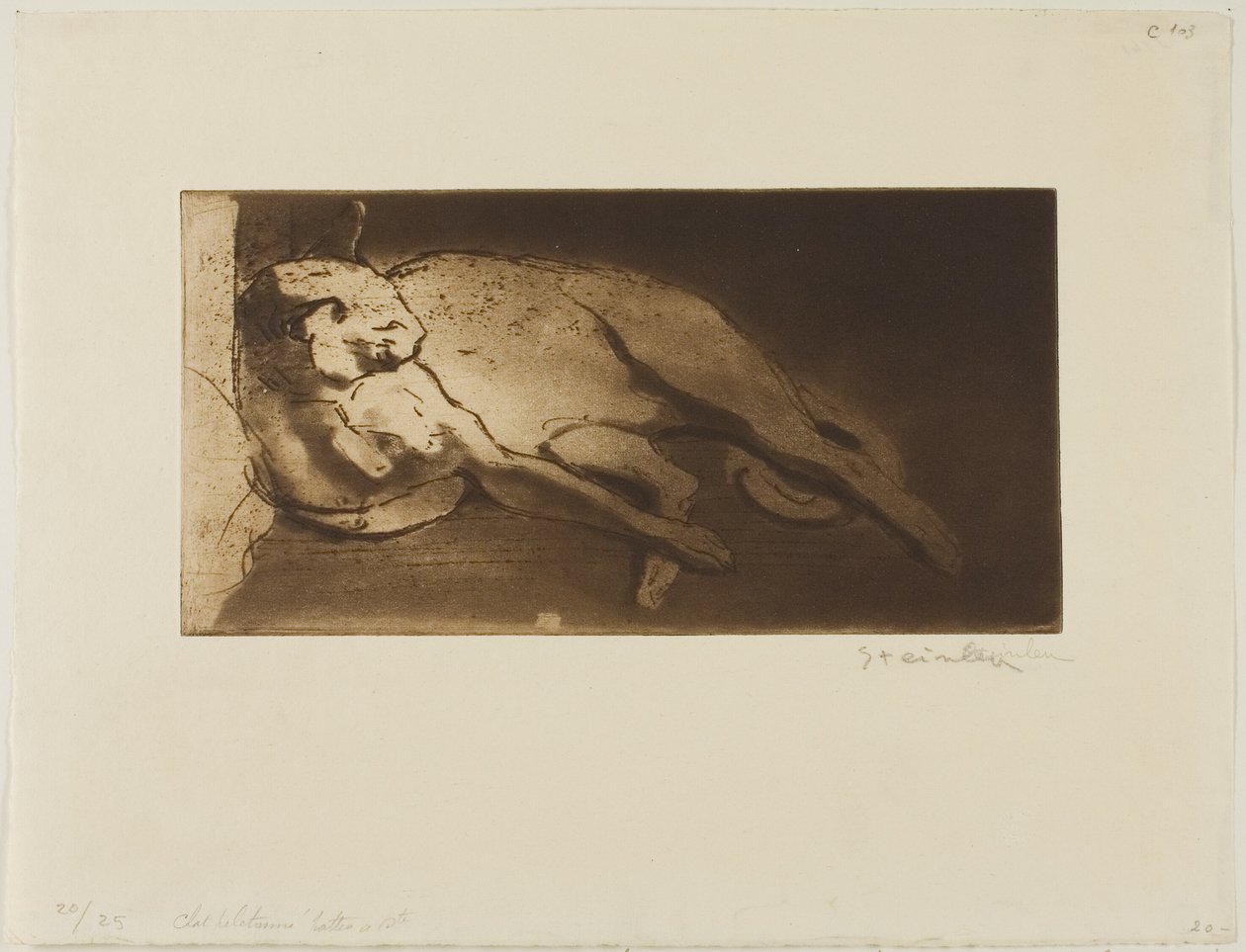Fekvő macska kinyújtózva balról jobbra alkotó: Théophile Alexandre Pierre Steinlen