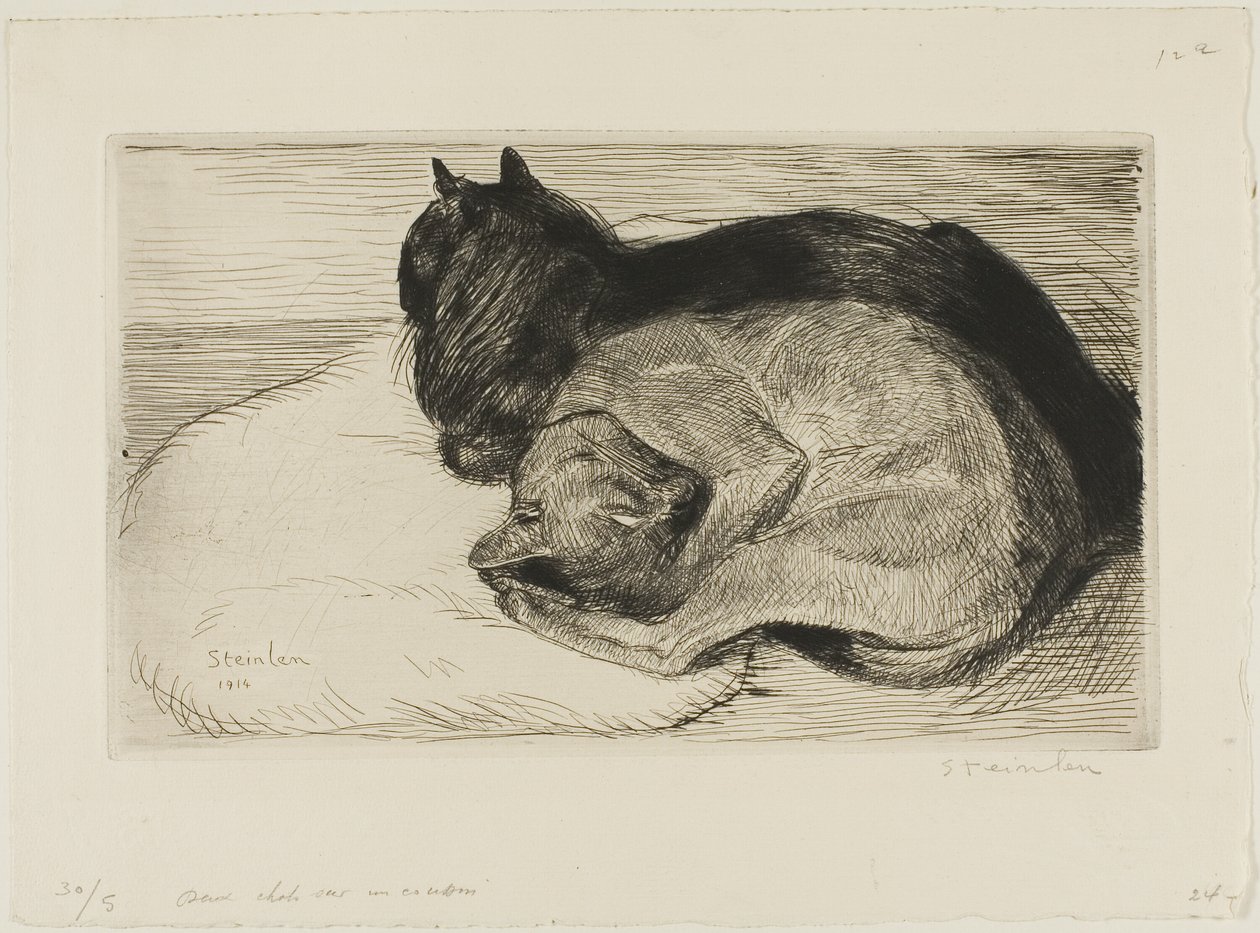 Két macska egy párnán alkotó: Théophile Alexandre Pierre Steinlen