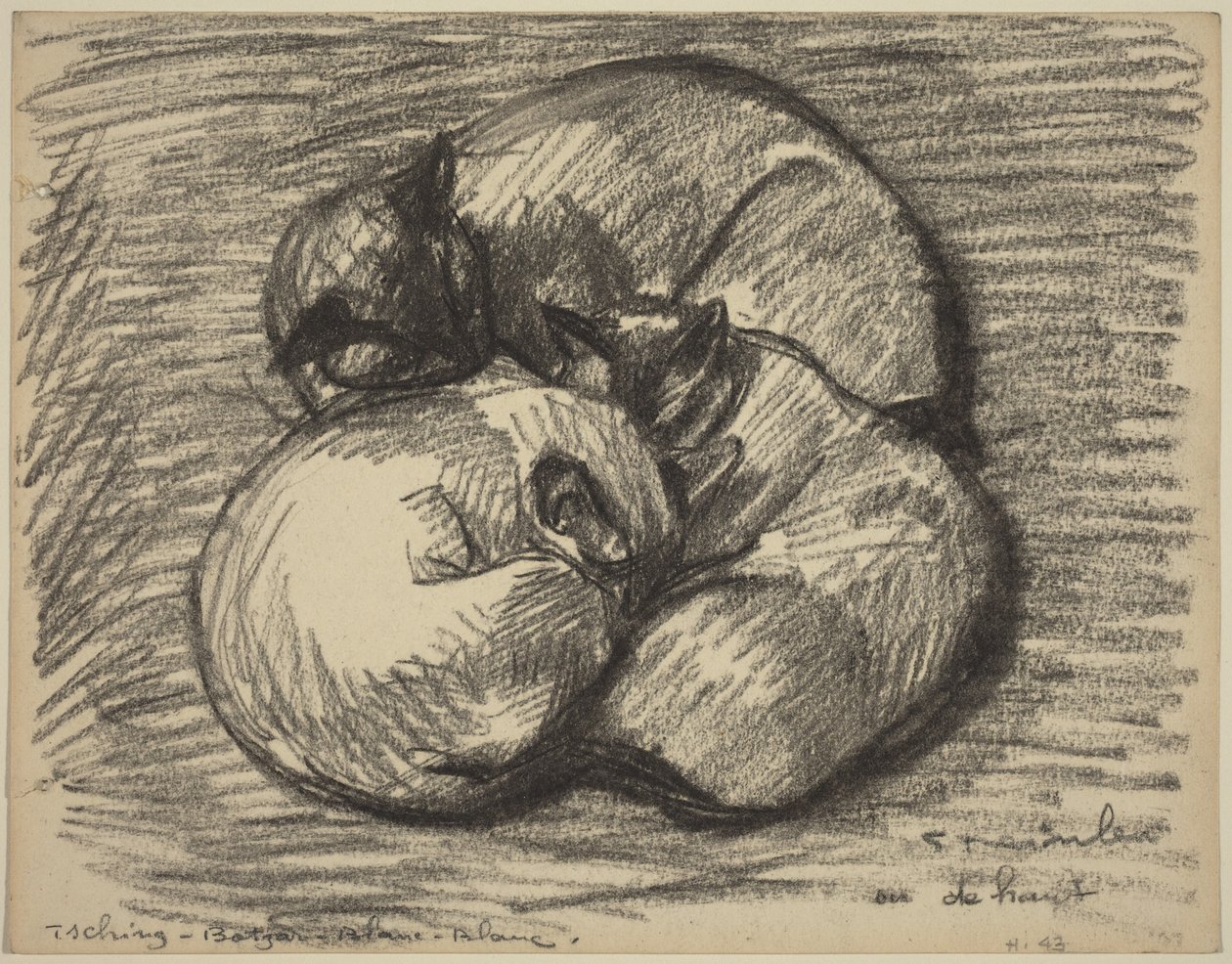 A macskák: Tsching, Batzar és Blanc-Blanc, 19. század vége – 20. század eleje. alkotó: Théophile Alexandre Steinlen