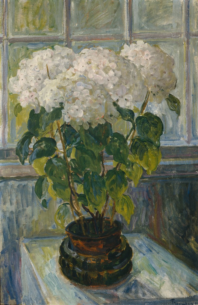 Hortenzia alkotó: Thorolf Holmboe
