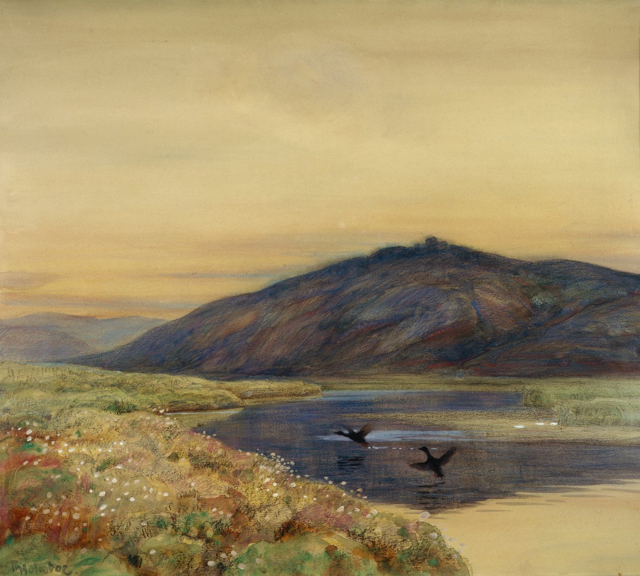 Táj madarakkal alkotó: Thorolf Holmboe