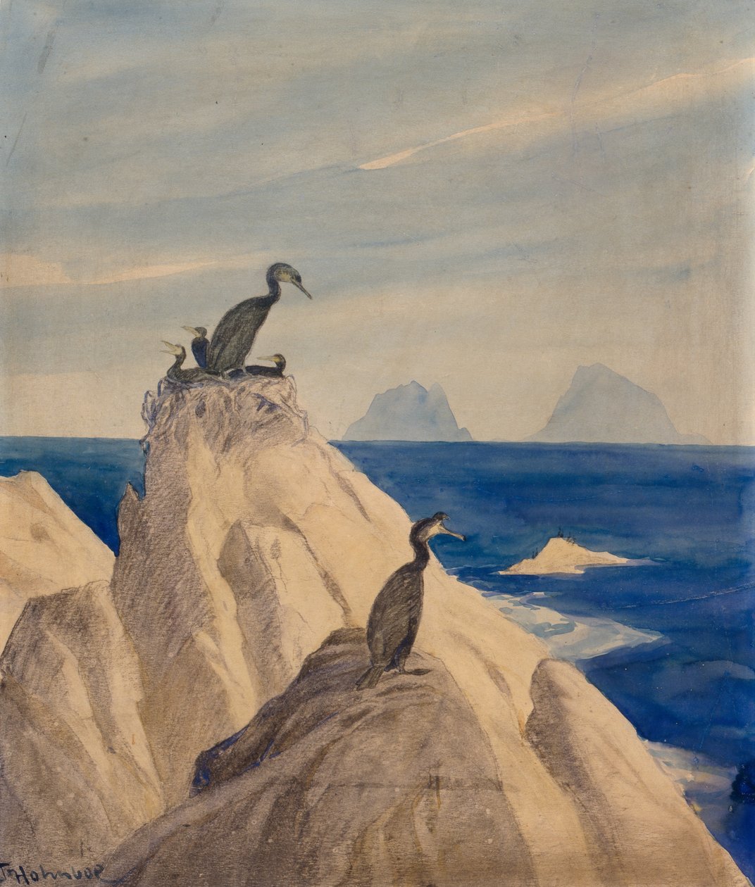 Northern Gannets (ceruza és akvarell papíron) alkotó: Thorolf Holmboe