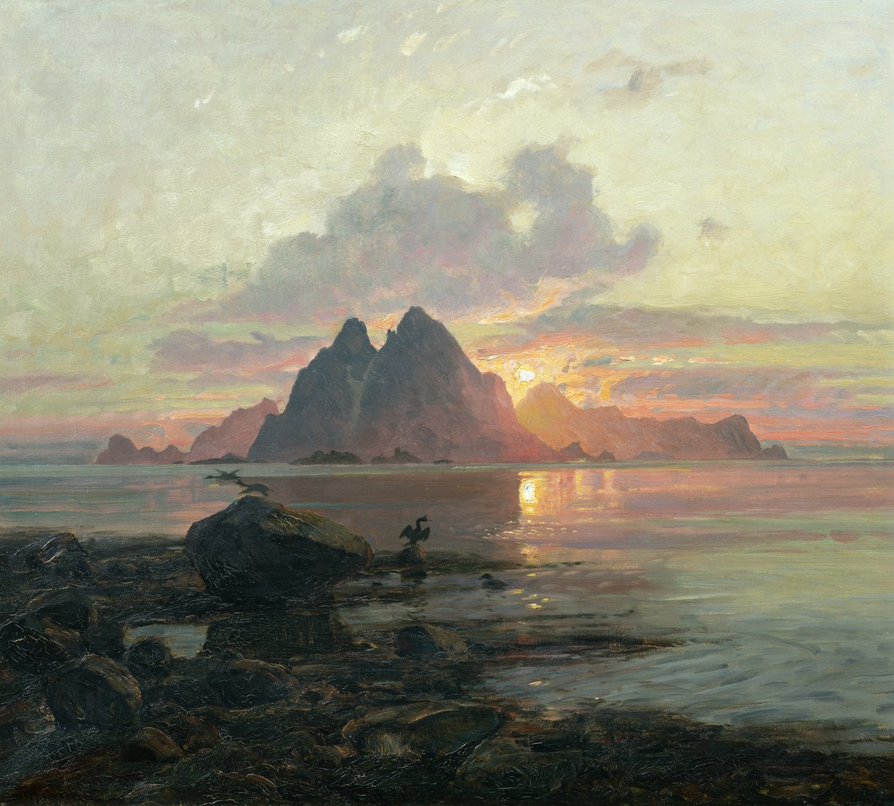 Phalacrocoarax aristotelis éjféli napon alkotó: Thorolf Holmboe