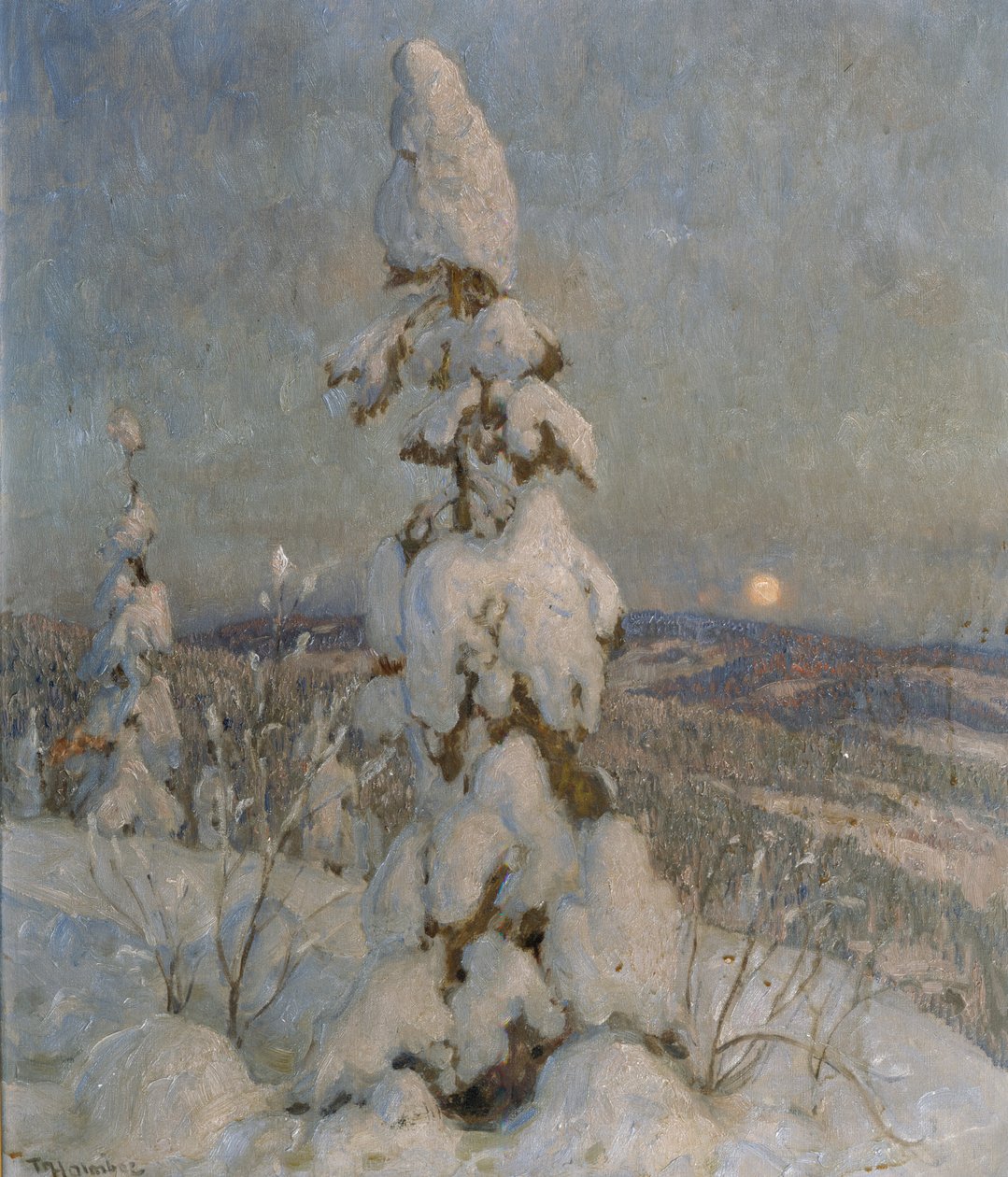 Hóval borított lucfenyő holdfényben (olaj, vászon) alkotó: Thorolf Holmboe