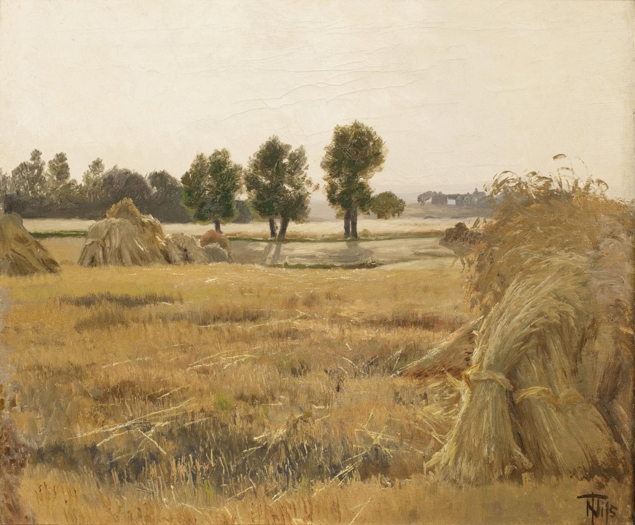 Mező gabonaügetőkkel alkotó: Thorvald Niss