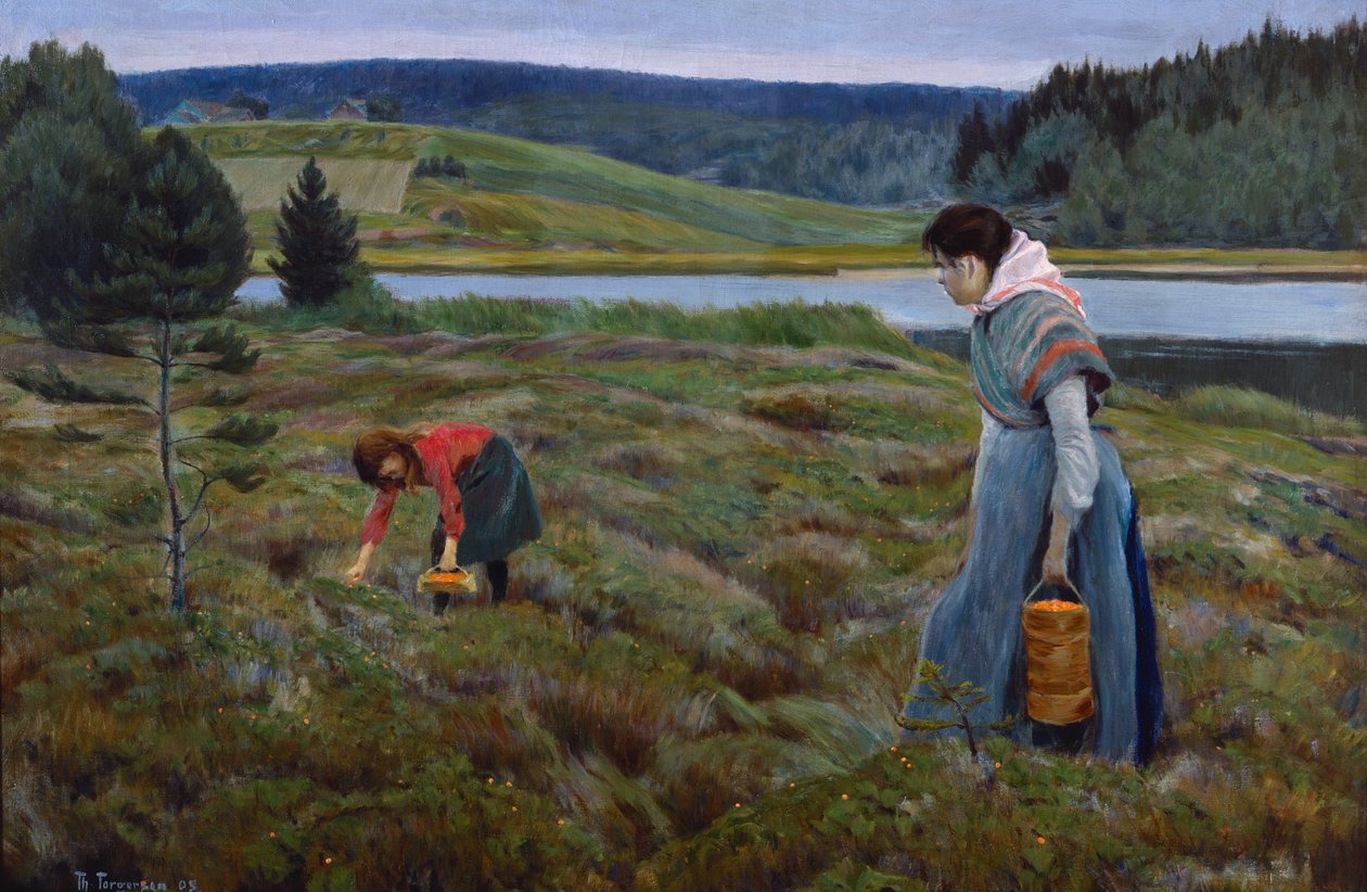 áfonya szedése alkotó: Thorvald Torgersen