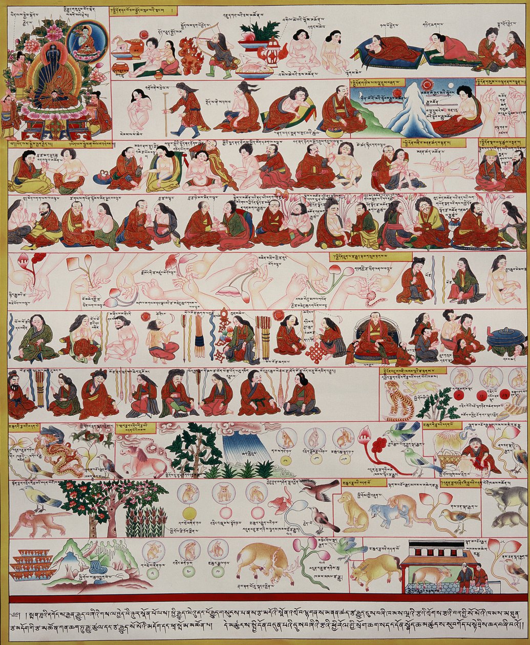 Kézirat a tibeti orvoslásról alkotó: Tibetan School
