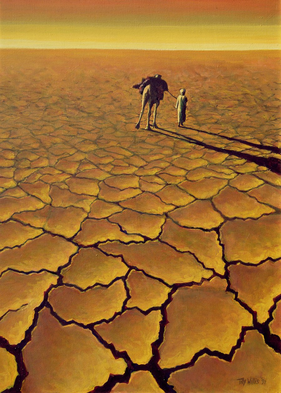 Szaharai utazás, 1995 alkotó: Tilly Willis
