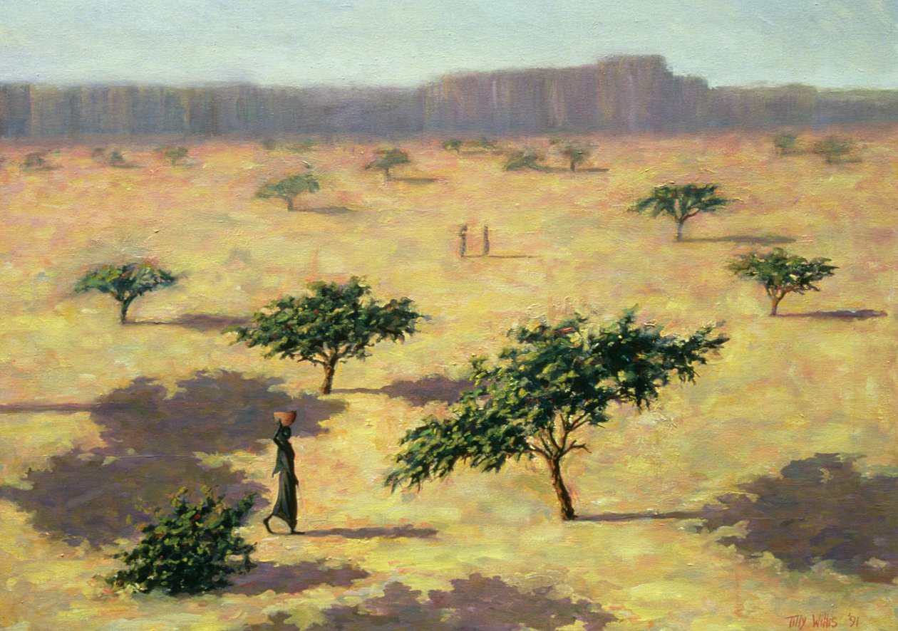 Száheli táj, Mali, 1991 alkotó: Tilly Willis