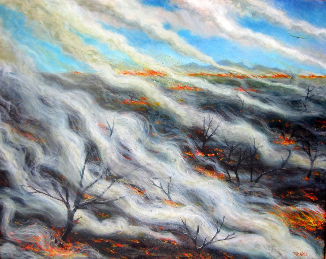 Felperzselt Föld, 2014, alkotó: Tilly Willis