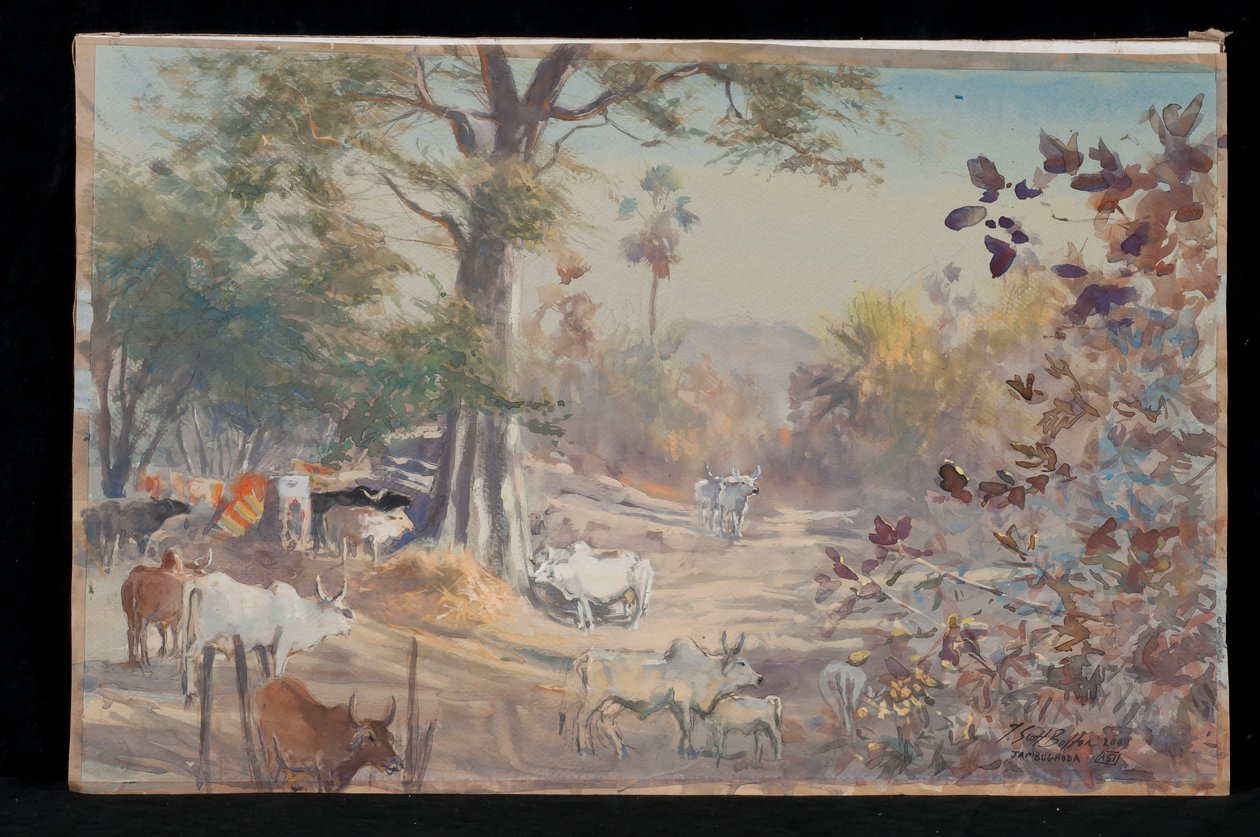 Szarvasmarha, Jambughoda, 2009 alkotó: Tim Scott Bolton
