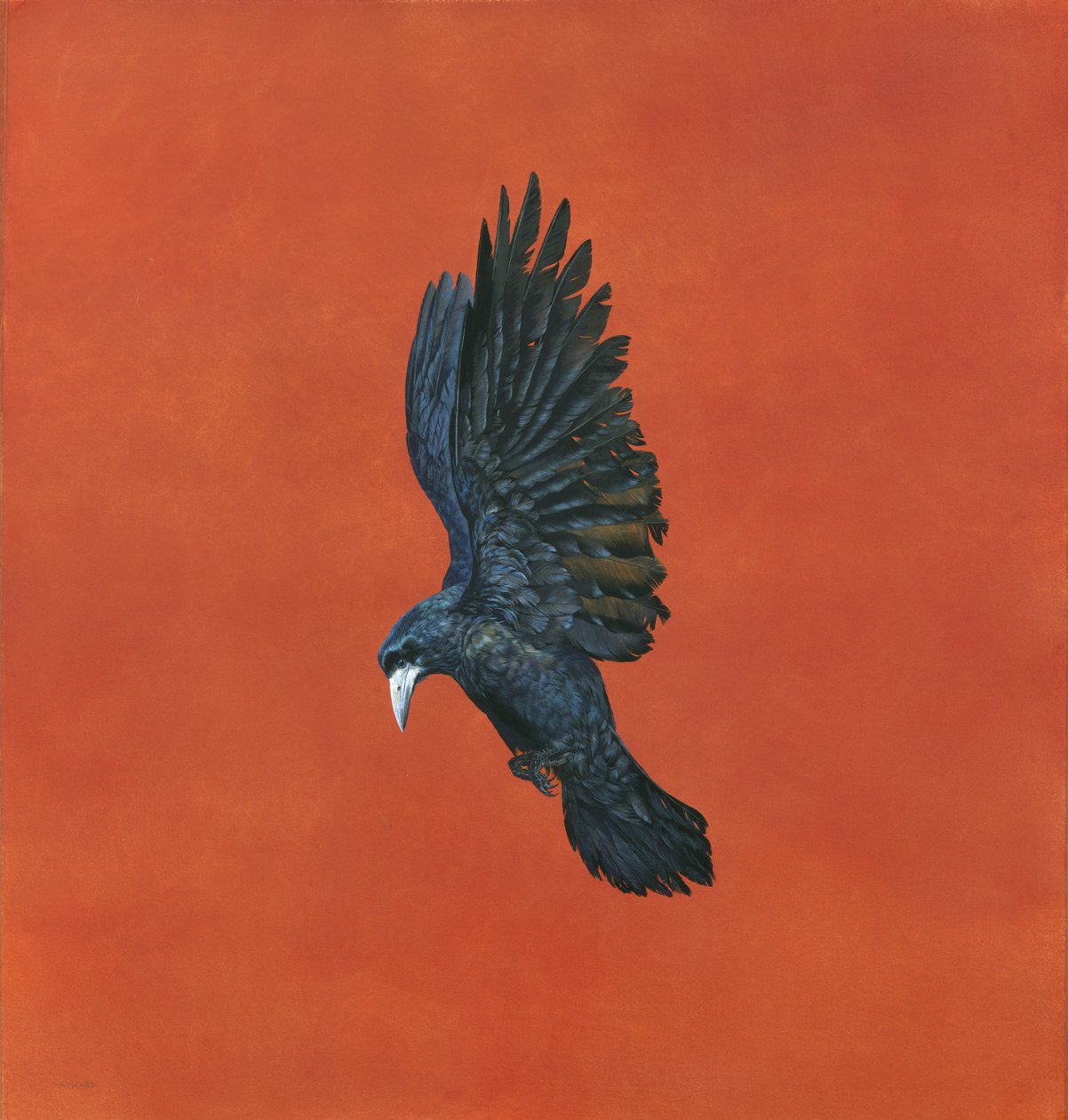 Fényes-piros, (akvarell és gouache Arches 640 gsm papíron,) 101,6 x 91,4 cm alkotó: Tim Hayward