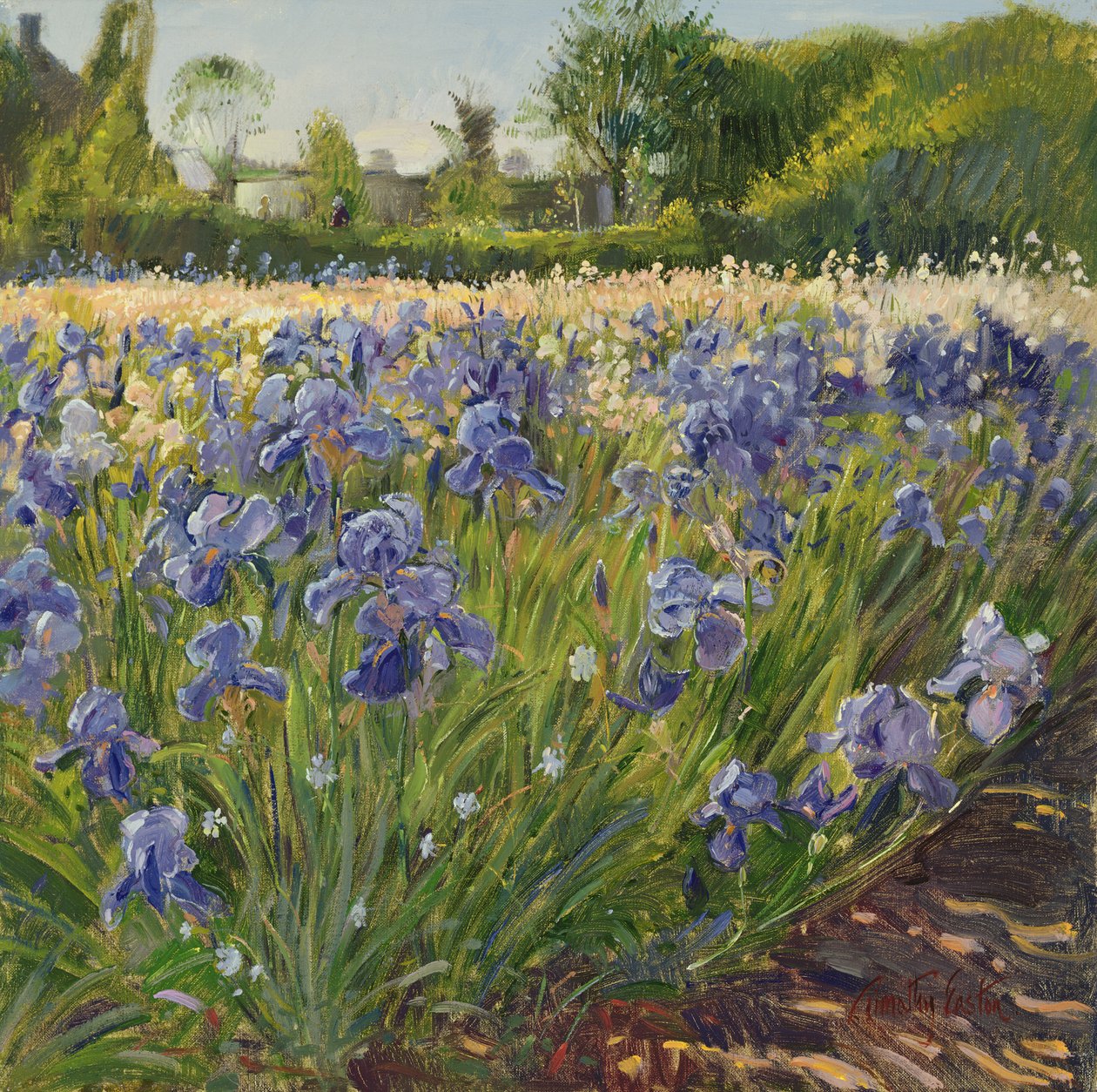 A kék íriszek fölött alkotó: Timothy Easton