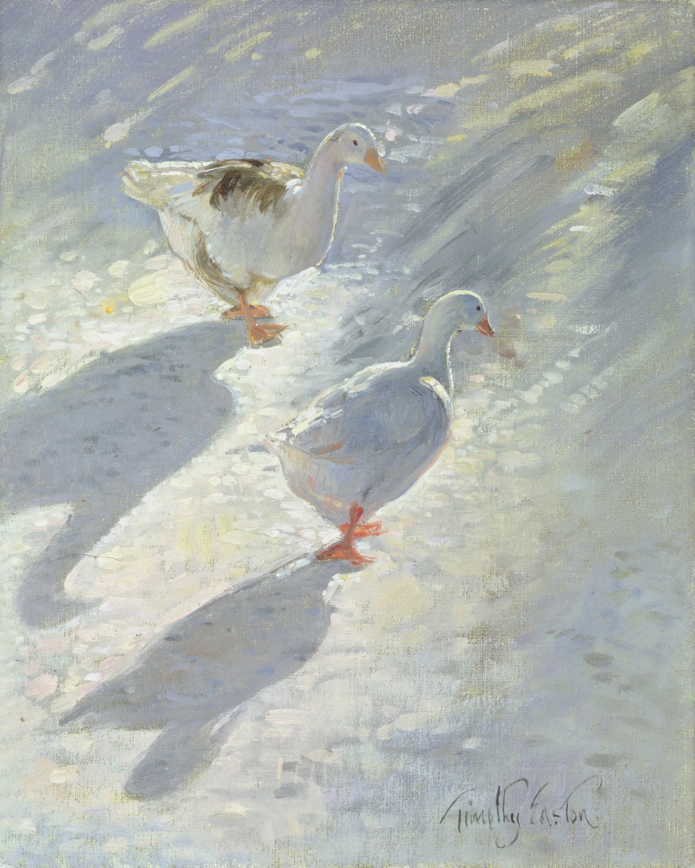 A lejtővel szemben alkotó: Timothy Easton