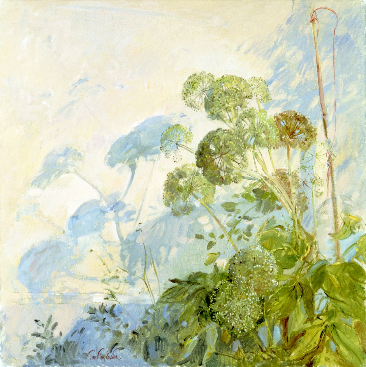 Angelica árnyékok alkotó: Timothy Easton
