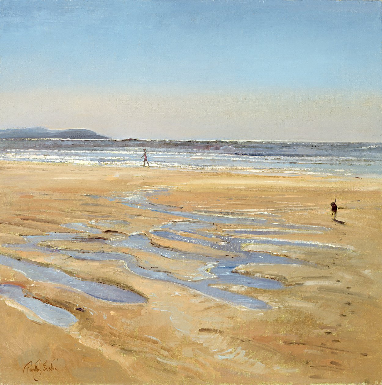Strand babakocsik alkotó: Timothy Easton