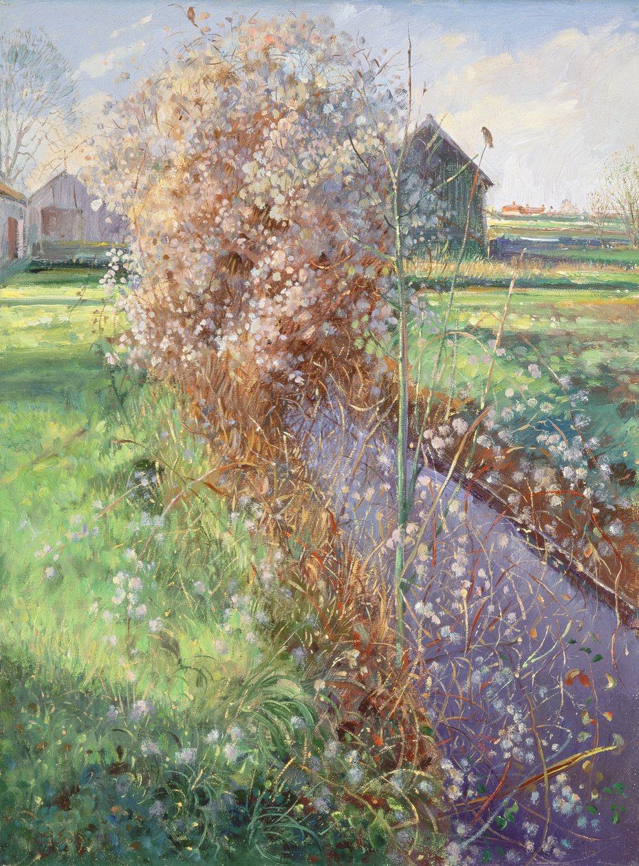 Szakállas bokor alkotó: Timothy Easton