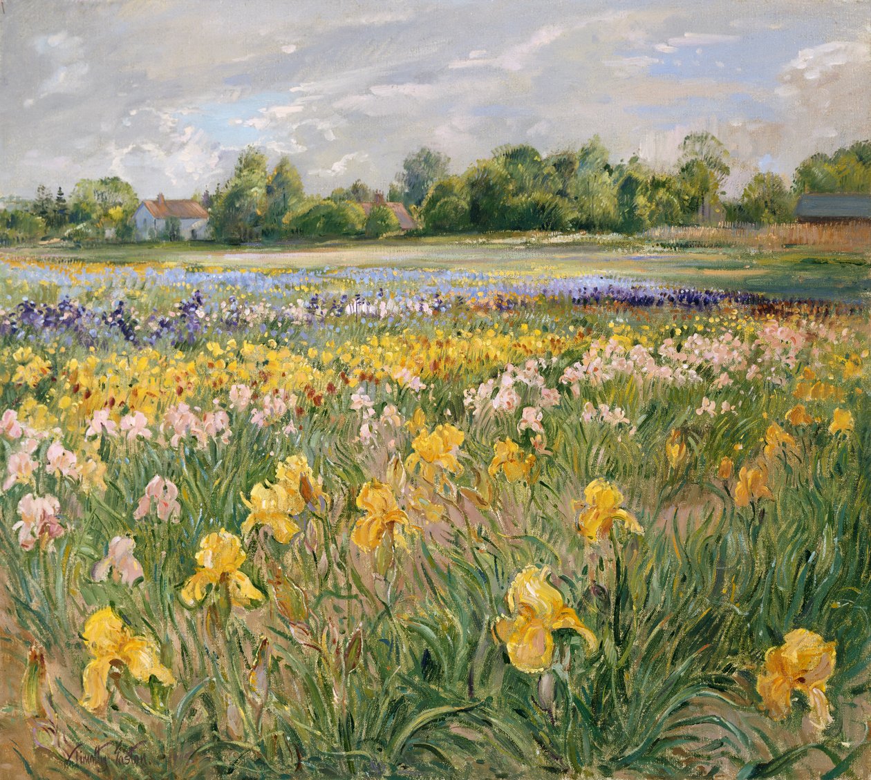 Víkendházak és Iris Field alkotó: Timothy Easton