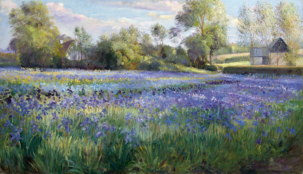 Foltos fény az íriszmezőn, 1991 alkotó: Timothy Easton