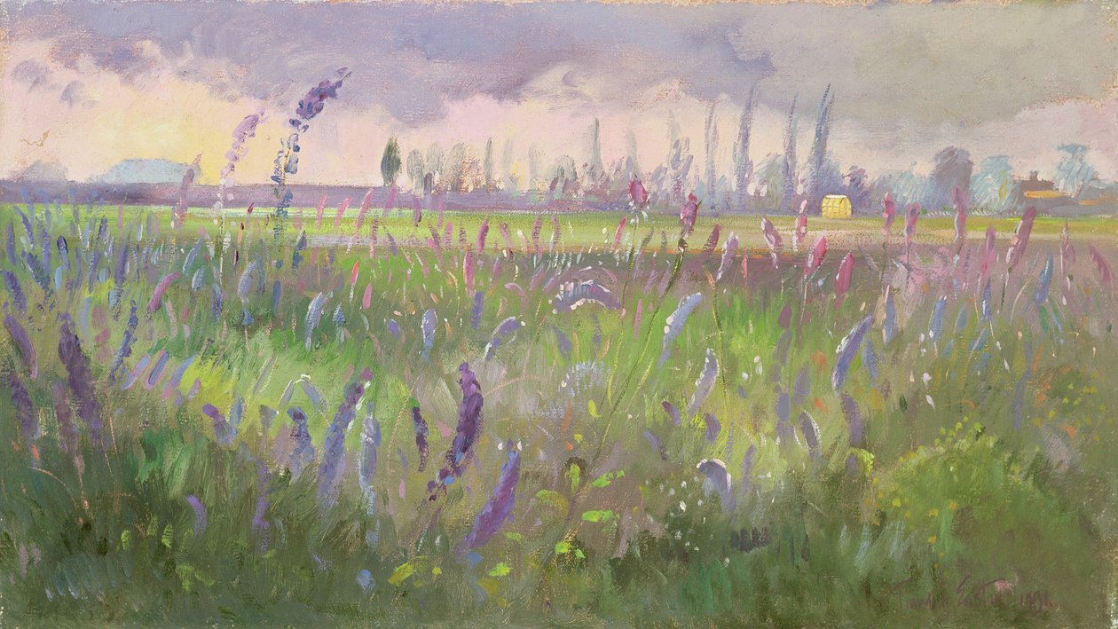 Delphiniumok, Vihar múlása, 1991 alkotó: Timothy Easton