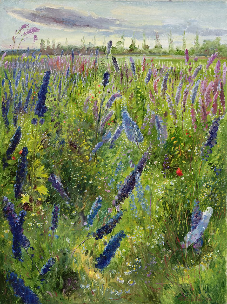 Delphinium and Emerging Sun, 1991 alkotó: Timothy Easton
