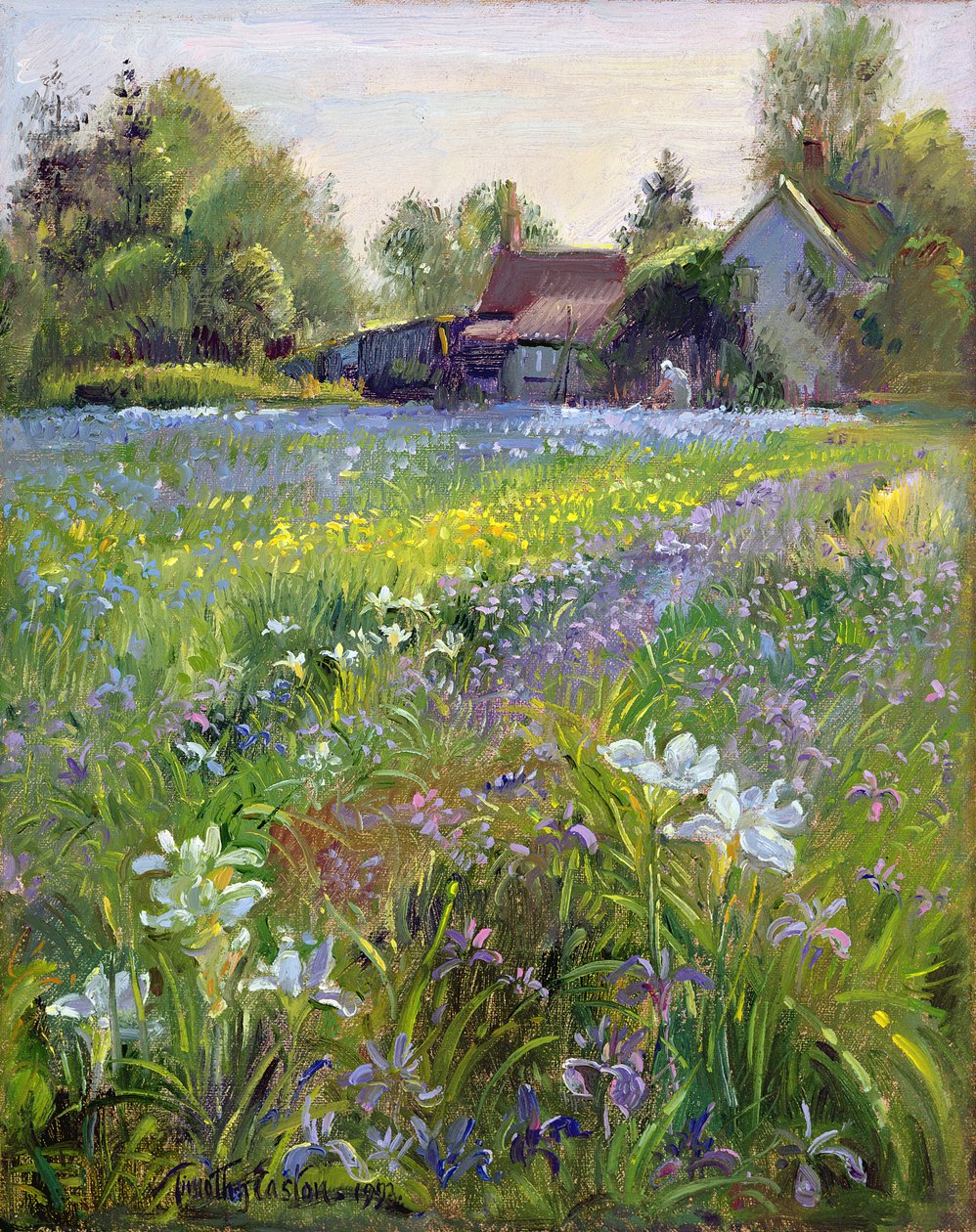 Törpe íriszek és kunyhó, 1993 alkotó: Timothy Easton
